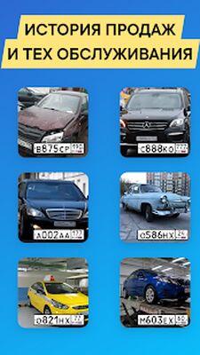 Скачать Проверка авто по VIN и ГОСНОМЕРУ [Без рекламы] RUS apk на Андроид