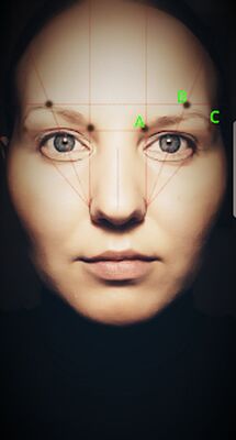 Скачать Perfect Eyebrows. Smart Mirror [Полная версия] RU apk на Андроид