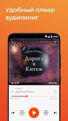Скачать ЛитРес: Читай и Слушай онлайн [Unlocked] RU apk на Андроид