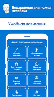 Скачать Нормальная анатомия человека [Premium] RU apk на Андроид