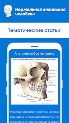 Скачать Нормальная анатомия человека [Premium] RU apk на Андроид
