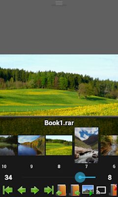 Скачать Perfect Viewer [Premium] RUS apk на Андроид