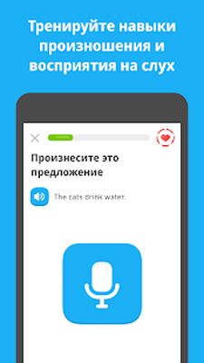 Скачать Duolingo: Учи языки бесплатно [Полная версия] RU apk на Андроид