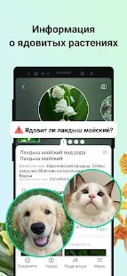 Скачать PictureThis растения признать [Без рекламы] RU apk на Андроид
