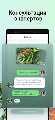 Скачать PictureThis растения признать [Без рекламы] RU apk на Андроид
