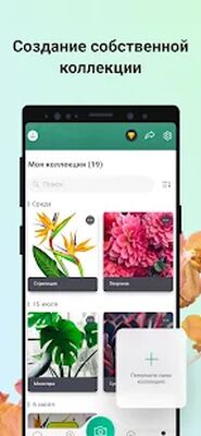Скачать PictureThis растения признать [Без рекламы] RU apk на Андроид