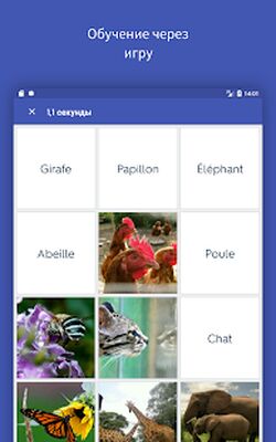 Скачать Quizlet: изучение языков и лексики [Unlocked] RUS apk на Андроид
