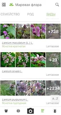 Скачать PlantNet Plant Identification [Полная версия] RU apk на Андроид