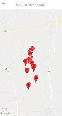 Скачать PlantNet Plant Identification [Полная версия] RU apk на Андроид