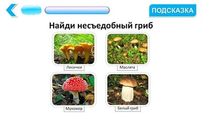 Скачать Подготовка к школе: полный курс! [Unlocked] RU apk на Андроид
