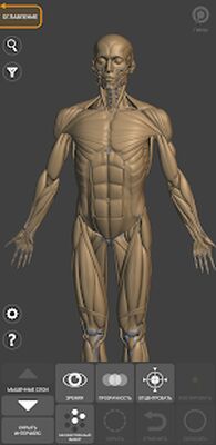 Скачать 3D Анатомия для художников [Premium] RU apk на Андроид