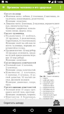 Скачать Биология - 5-11 класс ЕГЭ, ОГЭ [Без рекламы] RUS apk на Андроид