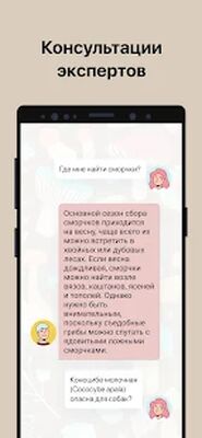 Скачать Picture Mushroom - Mushroom ID [Без рекламы] RU apk на Андроид