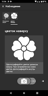 Скачать Flora Incognita - Определение растений [Unlocked] RUS apk на Андроид