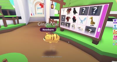Скачать Tricks Adopt Me Mod Pets 2021 [Без рекламы] RUS apk на Андроид