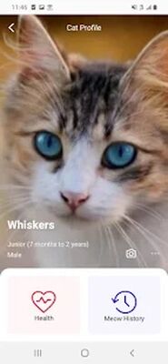 Скачать MeowTalk [Premium] RU apk на Андроид