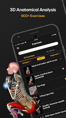 Скачать Силовые тренировки от Muscle & Motion [Premium] RU apk на Андроид
