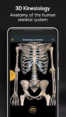 Скачать Anatomy by Muscle & Motion [Unlocked] RU apk на Андроид