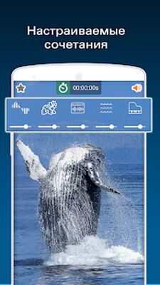 Скачать Звуки природы [Unlocked] RUS apk на Андроид