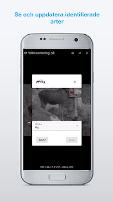 Скачать Molnus [Unlocked] RUS apk на Андроид