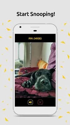 Скачать Snoop - простая камера видеонаблюдения [Полная версия] RU apk на Андроид