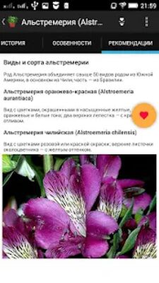 Скачать Домашние Цветы [Unlocked] RU apk на Андроид