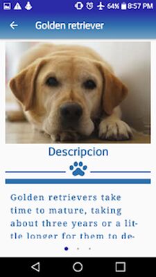Скачать Dog in Home: Choose ideal dog [Полная версия] RUS apk на Андроид