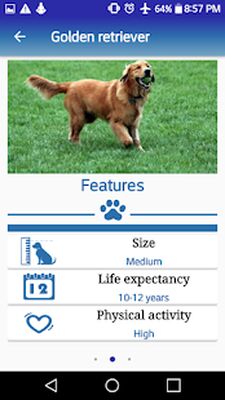 Скачать Dog in Home: Choose ideal dog [Полная версия] RUS apk на Андроид