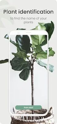 Скачать Planta - Keep your plants alive [Unlocked] RUS apk на Андроид