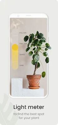 Скачать Planta - Keep your plants alive [Unlocked] RUS apk на Андроид