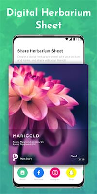 Скачать Plant Story™ - Plant ID & Gardening Community [Premium] RUS apk на Андроид