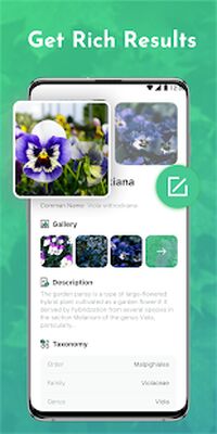 Скачать Plant Story™ - Plant ID & Gardening Community [Premium] RUS apk на Андроид