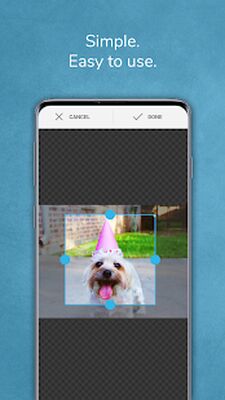 Скачать день рождения обратный отсчет [Premium] RUS apk на Андроид