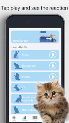 Скачать Meow - Игры Для Кошек И Кошачьи Звуки [Premium] RUS apk на Андроид