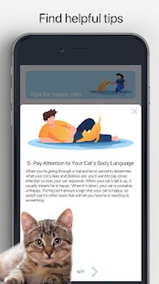 Скачать Meow - Игры Для Кошек И Кошачьи Звуки [Premium] RUS apk на Андроид