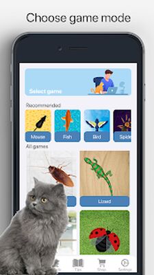 Скачать Meow - Игры Для Кошек И Кошачьи Звуки [Premium] RUS apk на Андроид