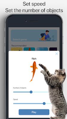 Скачать Meow - Игры Для Кошек И Кошачьи Звуки [Premium] RUS apk на Андроид