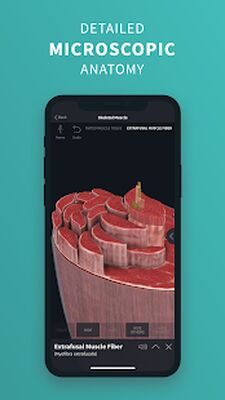Скачать Complete Anatomy 2022 [Без рекламы] RUS apk на Андроид