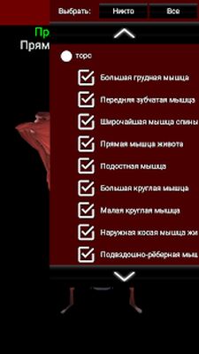 Скачать мышечная система в 3D (анатомия) [Полная версия] RU apk на Андроид
