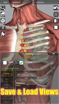 Скачать 3D Bones and Organs (Anatomy) [Unlocked] RUS apk на Андроид