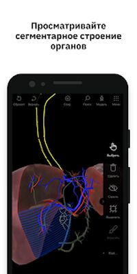 Скачать Pirogov Anatomy [Premium] RU apk на Андроид