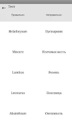 Скачать Основы Латинского языка [Unlocked] RU apk на Андроид
