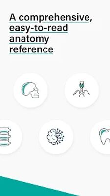 Скачать Teach Me Anatomy: 3D Human Body & Clinical Quizzes [Unlocked] RU apk на Андроид
