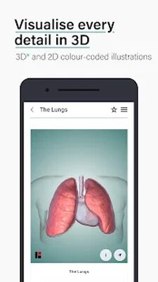 Скачать Teach Me Anatomy: 3D Human Body & Clinical Quizzes [Unlocked] RU apk на Андроид