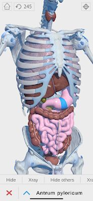 Скачать Visual Anatomy 3D - Human [Полная версия] RU apk на Андроид