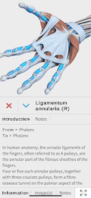 Скачать Visual Anatomy 3D - Human [Полная версия] RU apk на Андроид