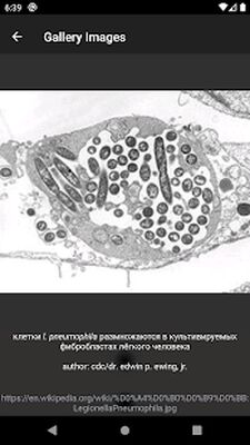 Скачать Все заболевания: про здоровье [Premium] RU apk на Андроид