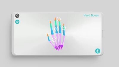 Скачать Anatomy 3D [Unlocked] RU apk на Андроид