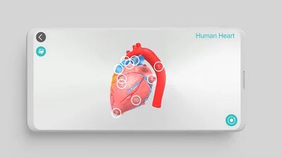 Скачать Anatomy 3D [Unlocked] RU apk на Андроид