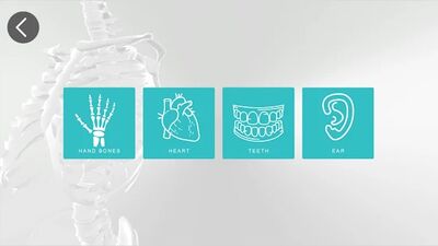 Скачать Anatomy 3D [Unlocked] RU apk на Андроид